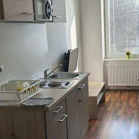 Appartement Moskovic *