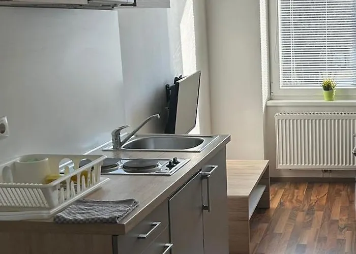 Apartment Moskovic *