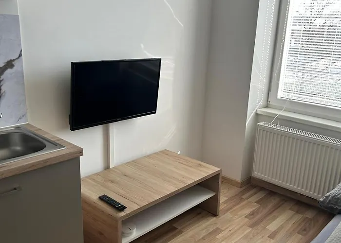 Moskovic Apartment Graz